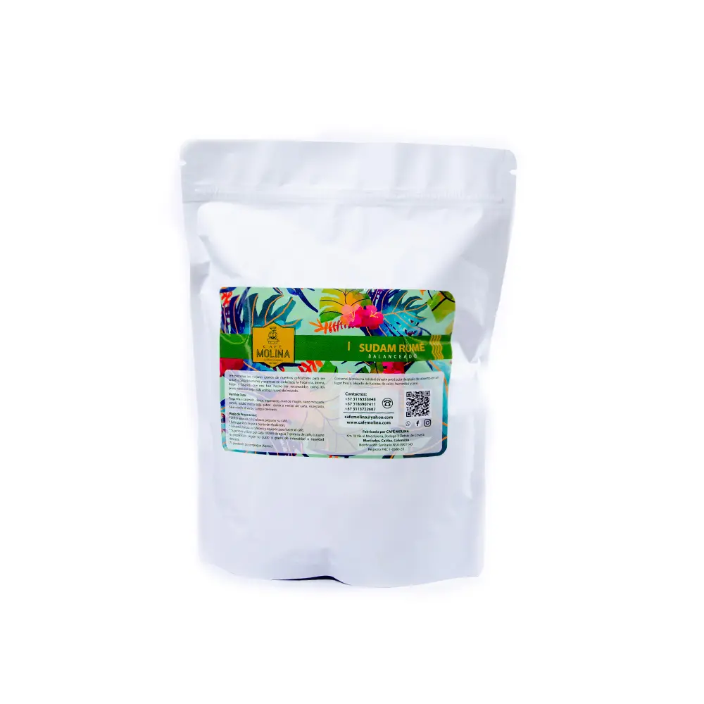 SUDAM-RUMÉ-02.webp
